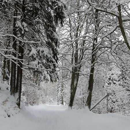 Vila Dom Na Pstraznicy Kudowa-Zdrój Exteriér fotografie