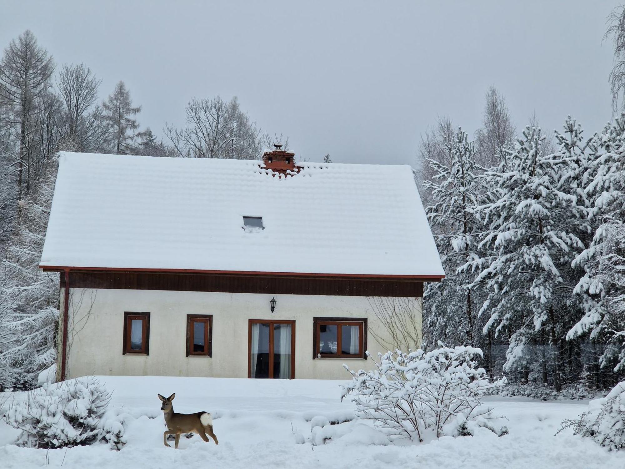 Holiday home Dom Na Pstraznicy Kudowa Zdroj