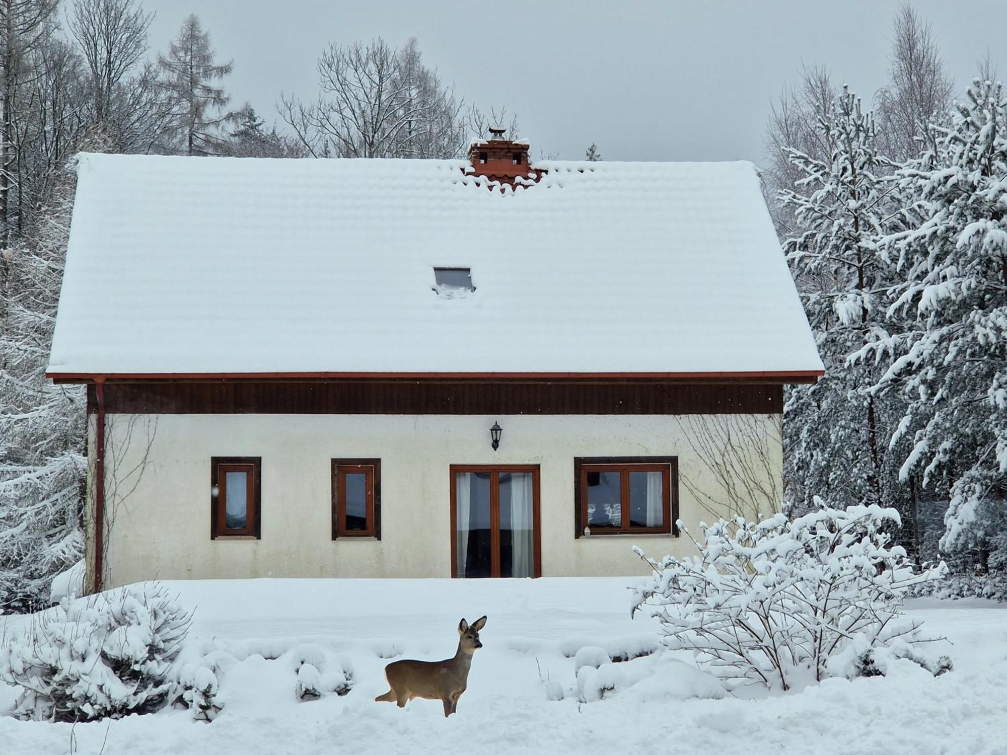 Holiday home Dom Na Pstraznicy