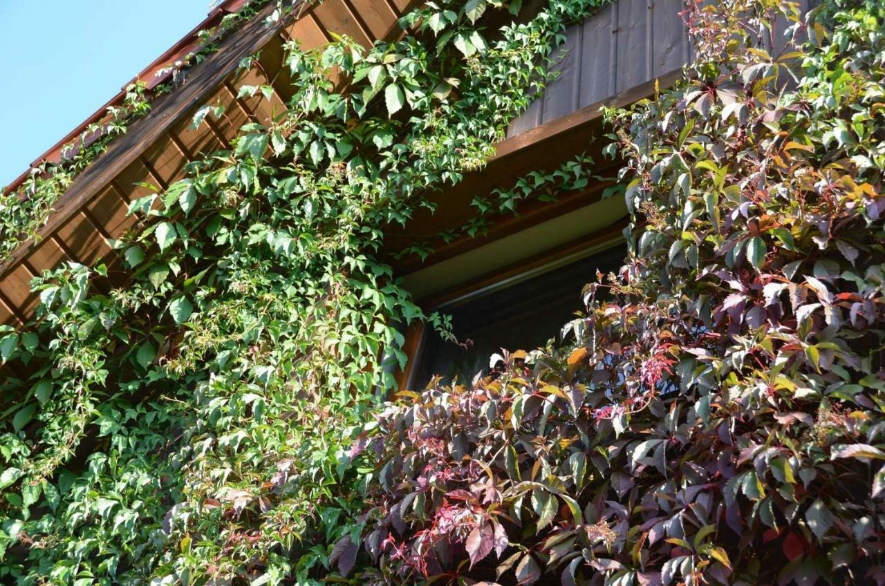 Dom Na Pstraznicy Holiday home