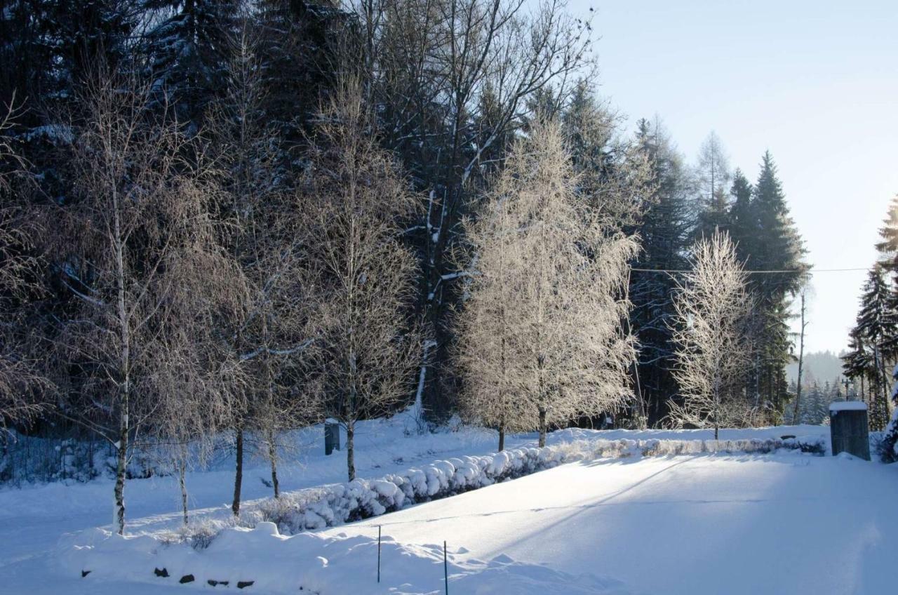 Dom Na Pstraznicy Holiday home Kudowa Zdroj