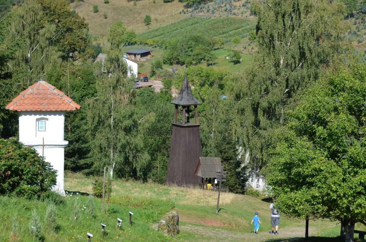 Dom Na Pstraznicy Kudowa Zdroj