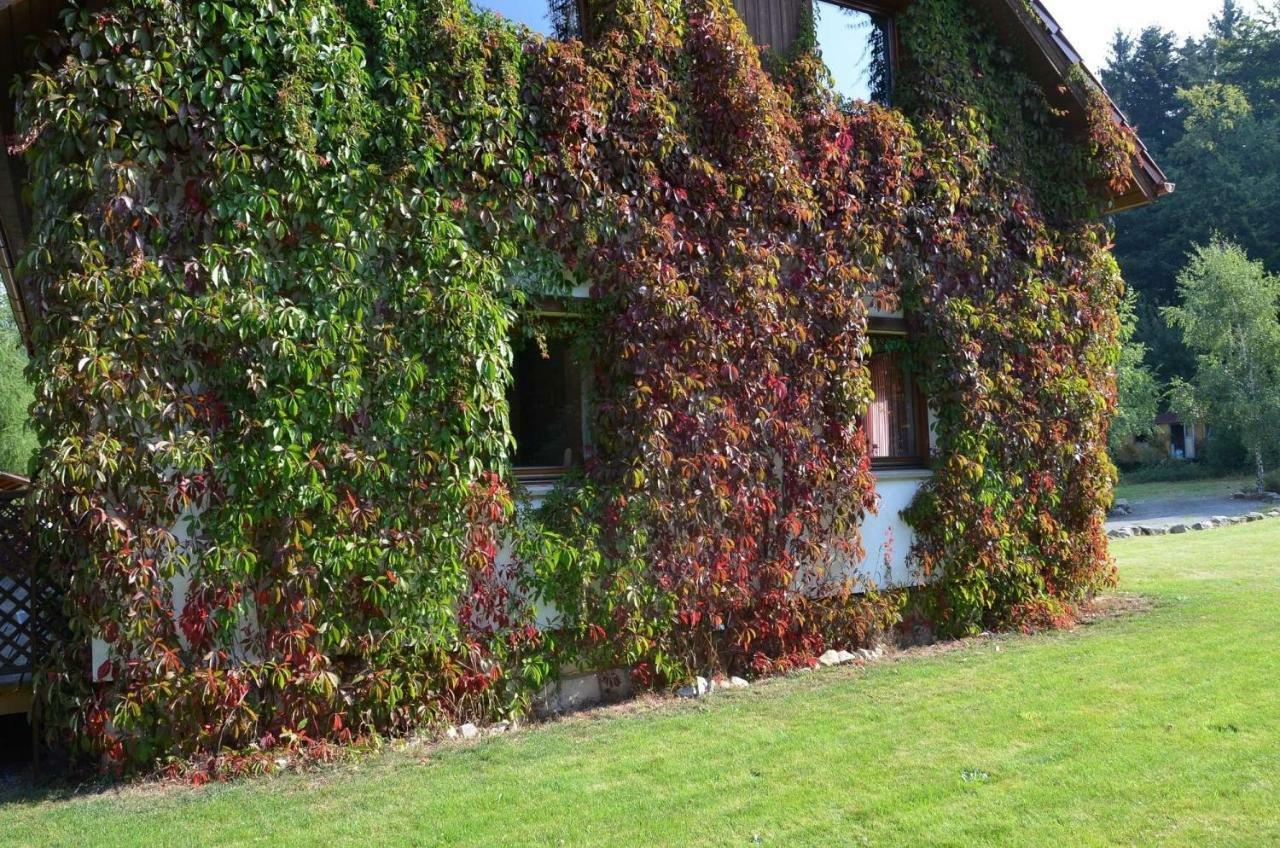Holiday home Dom Na Pstraznicy