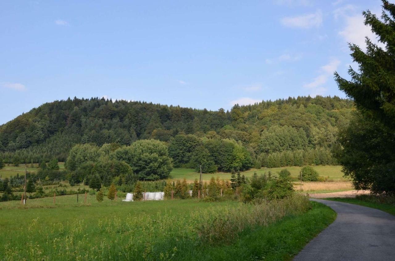 Holiday home Dom Na Pstraznicy